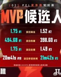2025PEL夏季赛常规赛MVP候选人：青稚&amp;amp;派大兴