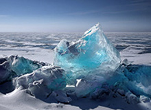 kaiyun-赵率舟、刘雁宇正式转会吉林东北虎俱乐部